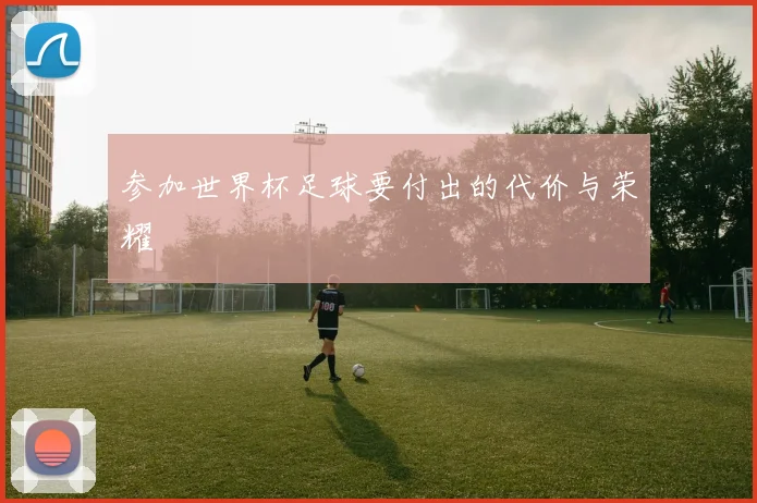 参加世界杯足球要付出的代价与荣耀