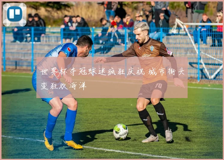 世界杯夺冠球迷疯狂庆祝 城市街头变狂欢海洋