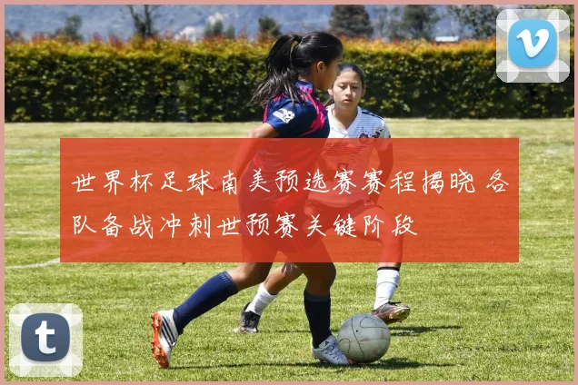 世界杯足球南美预选赛赛程揭晓 各队备战冲刺世预赛关键阶段