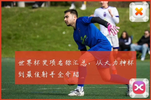 世界杯奖项名称汇总,从大力神杯到最佳射手全介绍