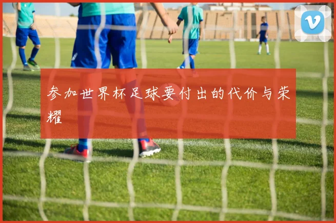 参加世界杯足球要付出的代价与荣耀