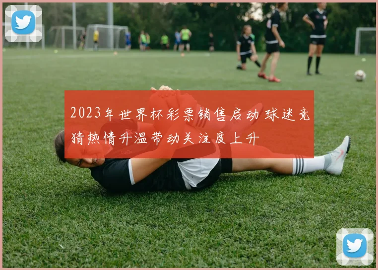2023年世界杯彩票销售启动 球迷竞猜热情升温带动关注度上升