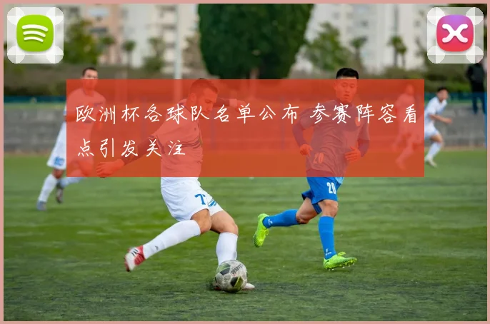 欧洲杯各球队名单公布 参赛阵容看点引发关注