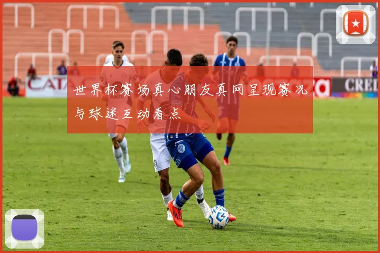 世界杯赛场真心朋友真网呈现赛况与球迷互动看点