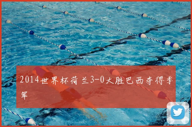 2014世界杯荷兰3-0大胜巴西夺得季军