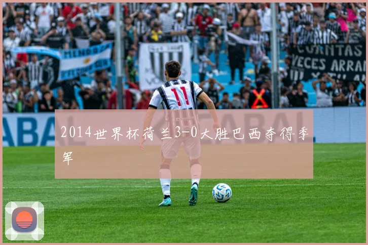 2014世界杯荷兰3-0大胜巴西夺得季军