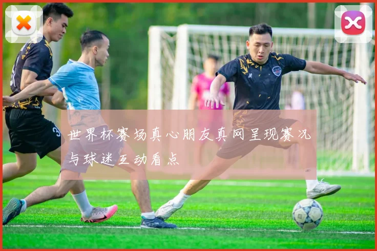 世界杯赛场真心朋友真网呈现赛况与球迷互动看点
