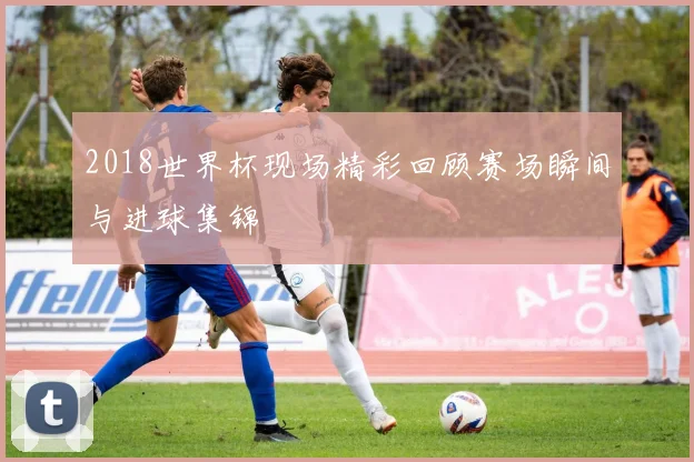 2018世界杯现场精彩回顾赛场瞬间与进球集锦