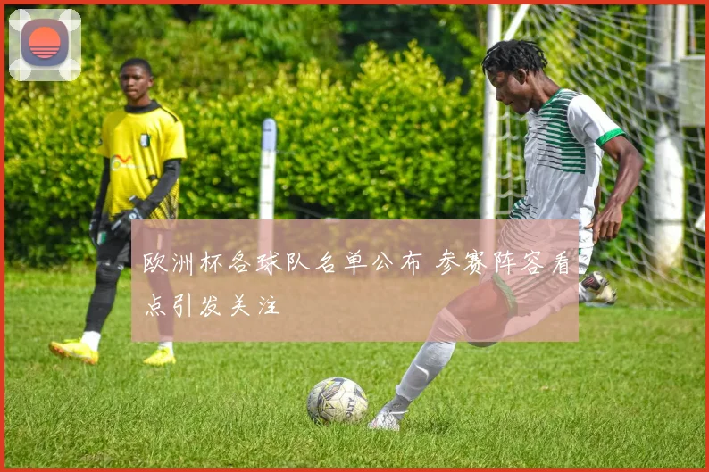 欧洲杯各球队名单公布 参赛阵容看点引发关注