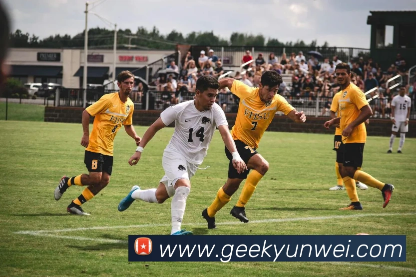 数据防护可视化